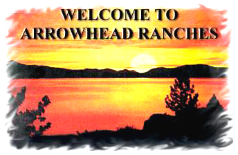 Welcome To Arrowhead Ranches - texas ranches for sale, texas ranch realestate, ranch investments, deer ranches, ranches with water, ranches with creeks, texas farms ranches